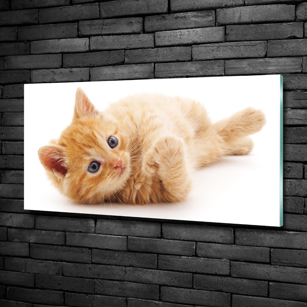 Wall art on glass Red cat