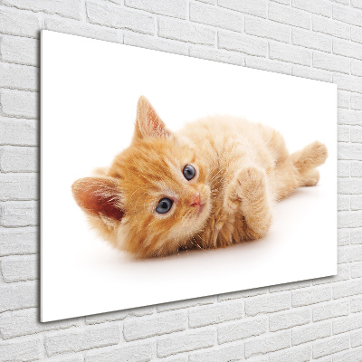 Wall art on glass Red cat