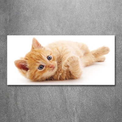 Wall art on glass Red cat