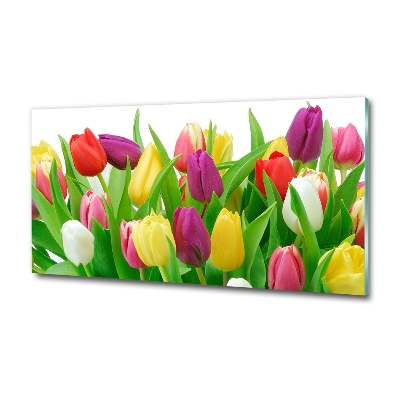 Wall art on glass Colorful tulips