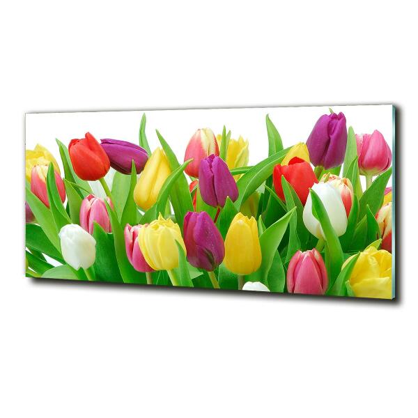 Wall art on glass Colorful tulips