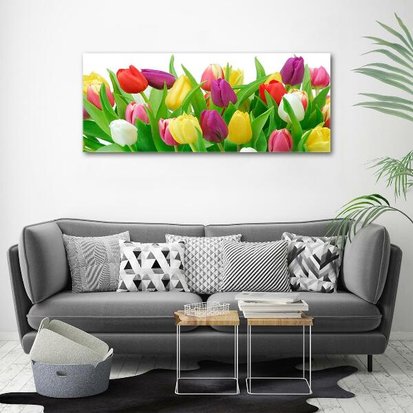 Wall art on glass Colorful tulips