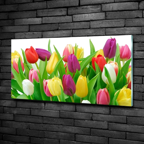 Wall art on glass Colorful tulips