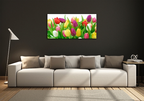 Wall art on glass Colorful tulips