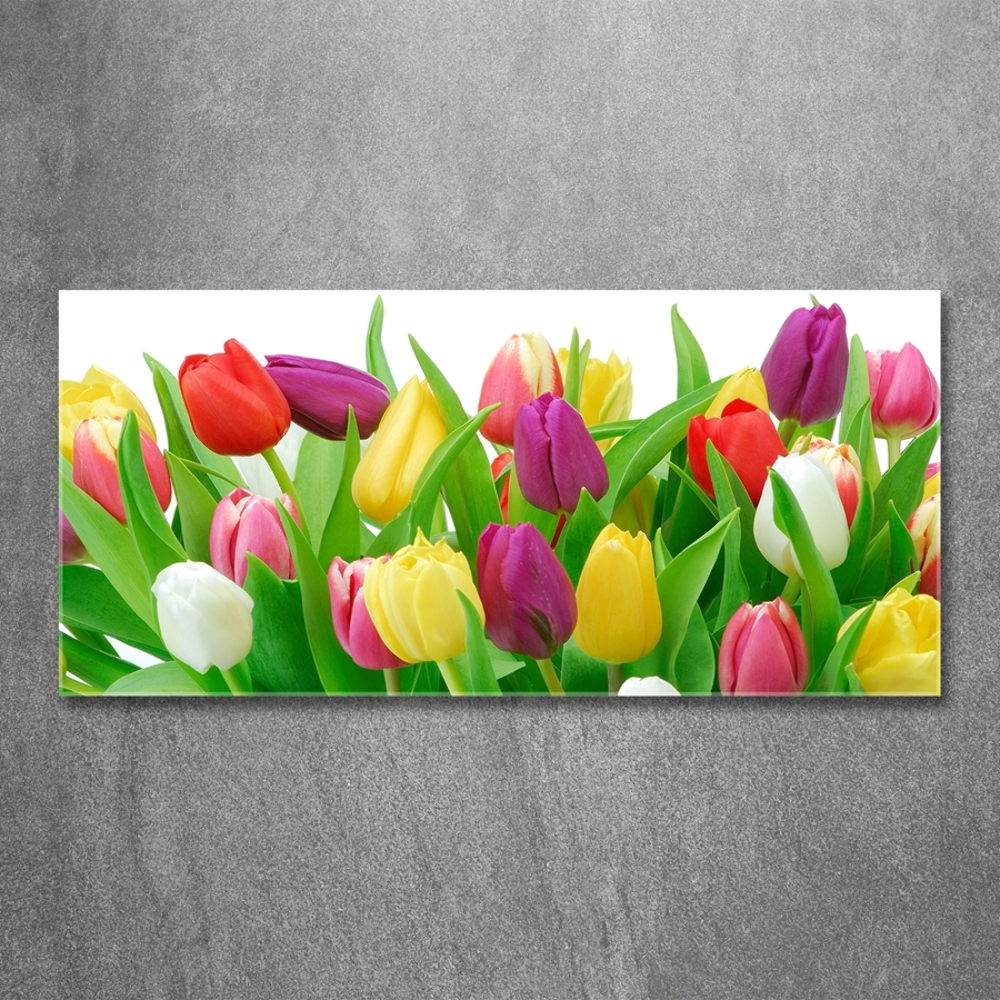 Wall art on glass Colorful tulips