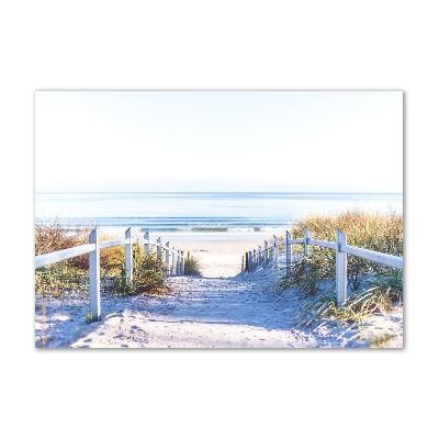 Wall art on glass Coastal dunes