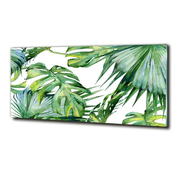 Glass picture print Tropical leaves