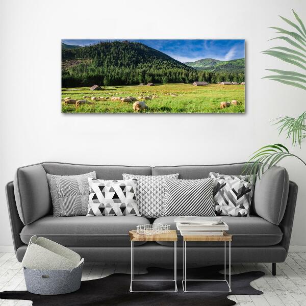 Glass art print Sheep in the tatra mountains