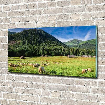 Glass art print Sheep in the tatra mountains