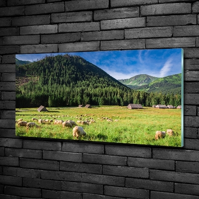 Glass art print Sheep in the tatra mountains