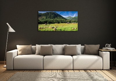 Glass art print Sheep in the tatra mountains