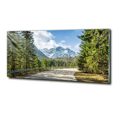 Wall art on glass Road of the tatra mountains