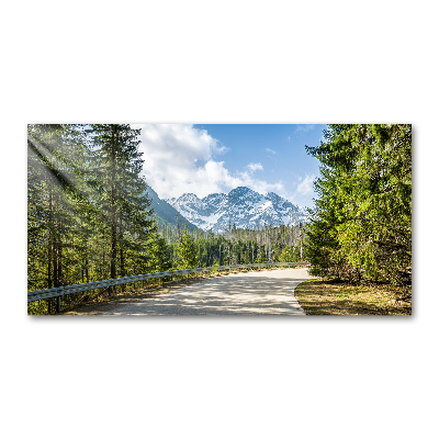 Wall art on glass Road of the tatra mountains