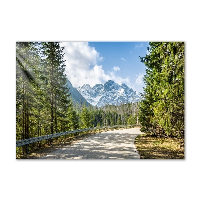 Wall art on glass Road of the tatra mountains