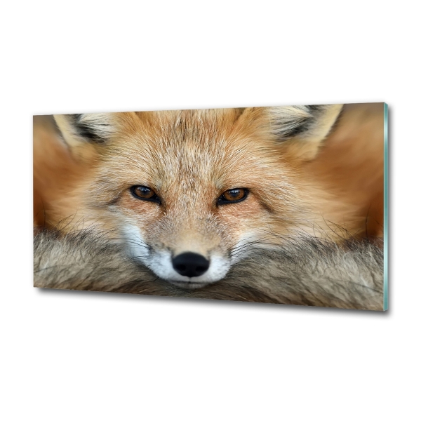 Wall art on glass Fox