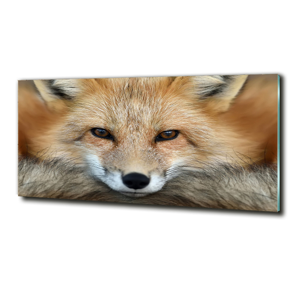 Wall art on glass Fox