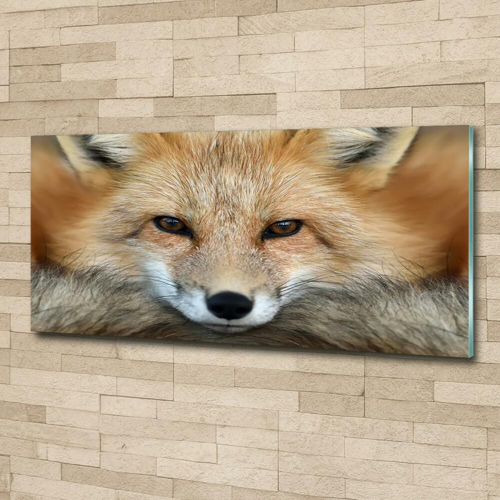 Wall art on glass Fox