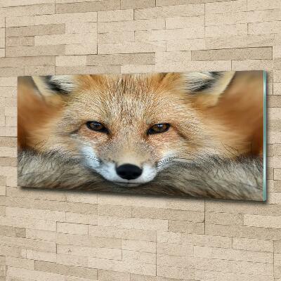 Wall art on glass Fox