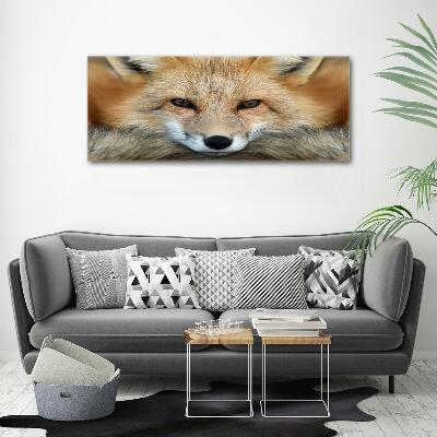 Wall art on glass Fox