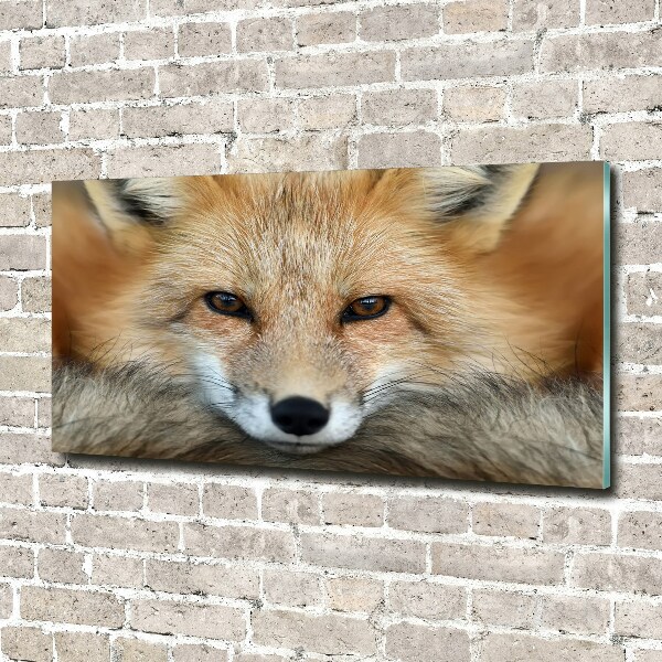 Wall art on glass Fox