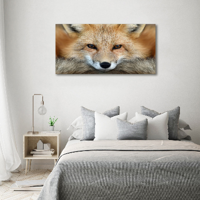 Wall art on glass Fox