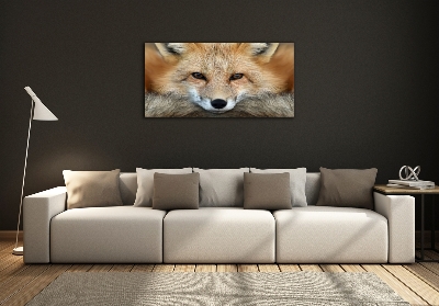 Wall art on glass Fox