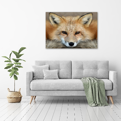 Wall art on glass Fox