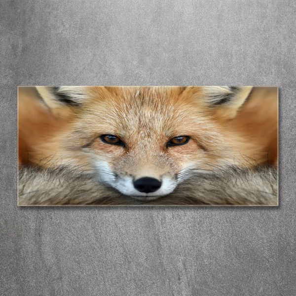 Wall art on glass Fox