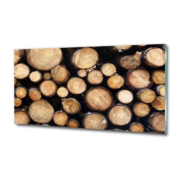 Wall art on glass Logs