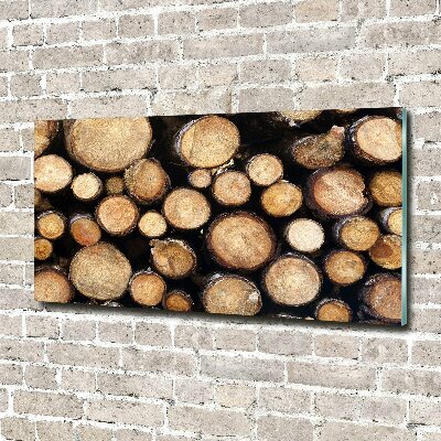 Wall art on glass Logs