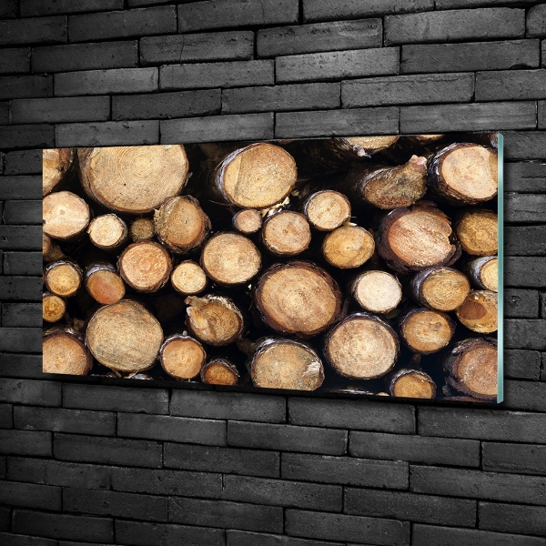 Wall art on glass Logs