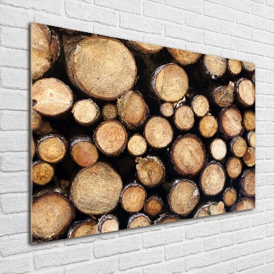 Wall art on glass Logs