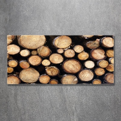 Wall art on glass Logs