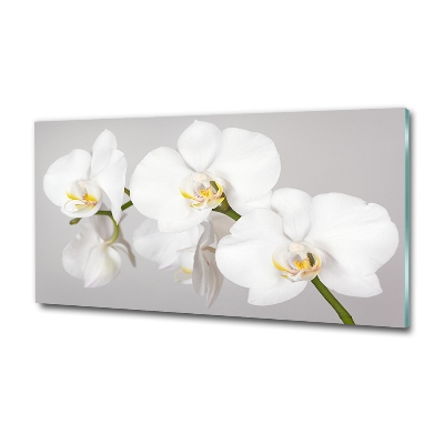 Wall art on glass Orchid