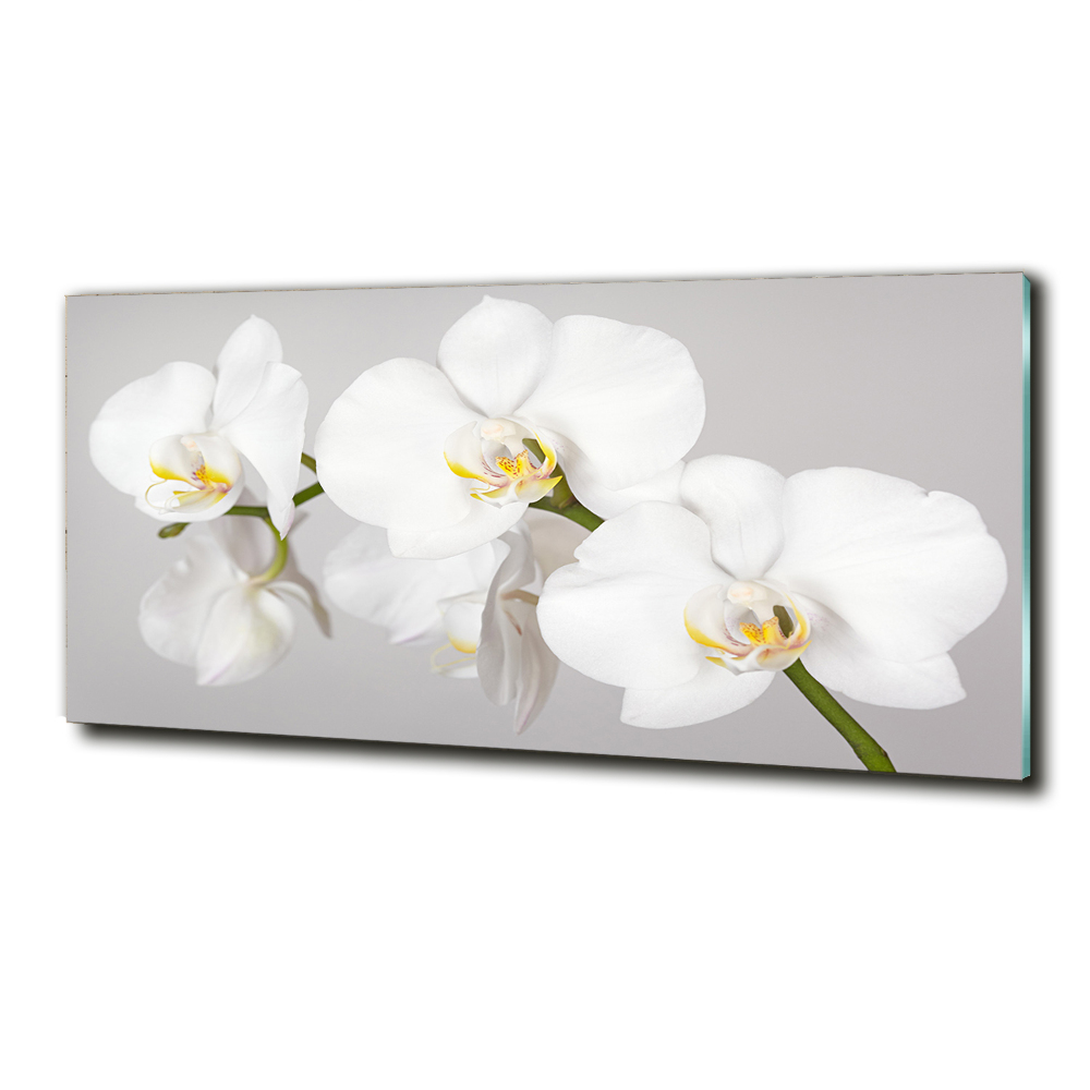 Wall art on glass Orchid