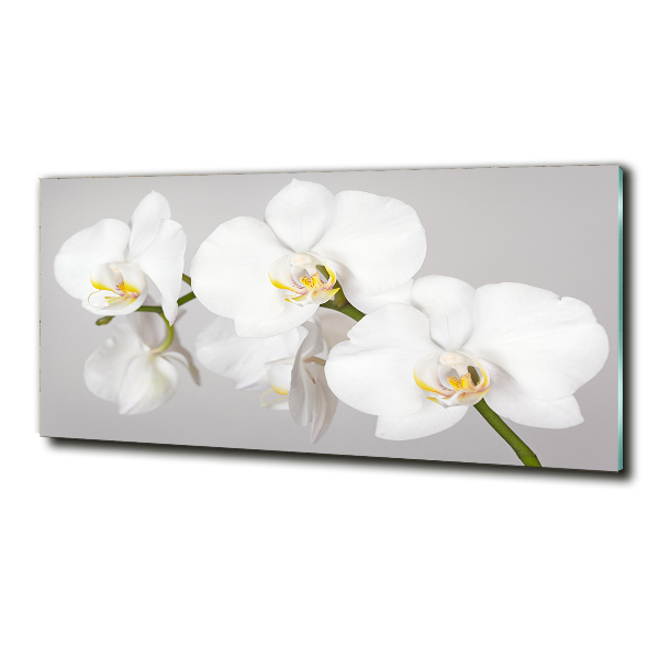 Wall art on glass Orchid