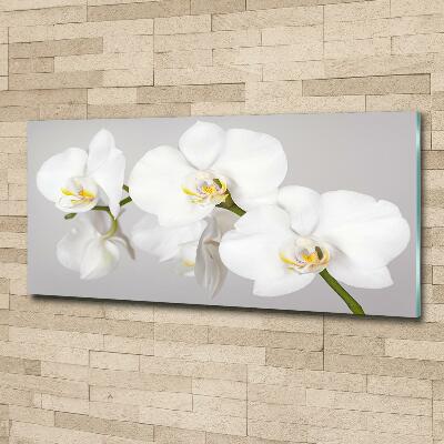 Wall art on glass Orchid