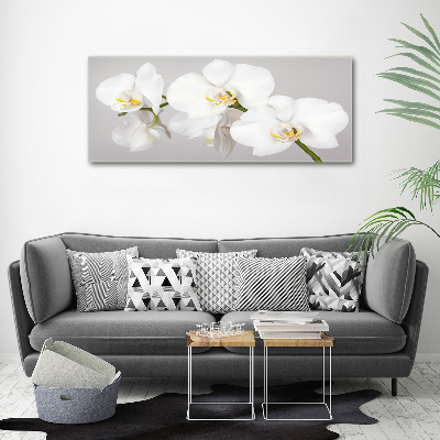 Wall art on glass Orchid