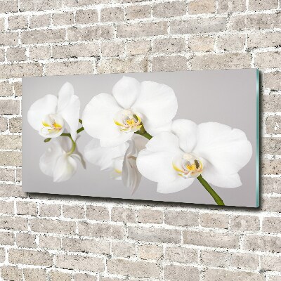 Wall art on glass Orchid