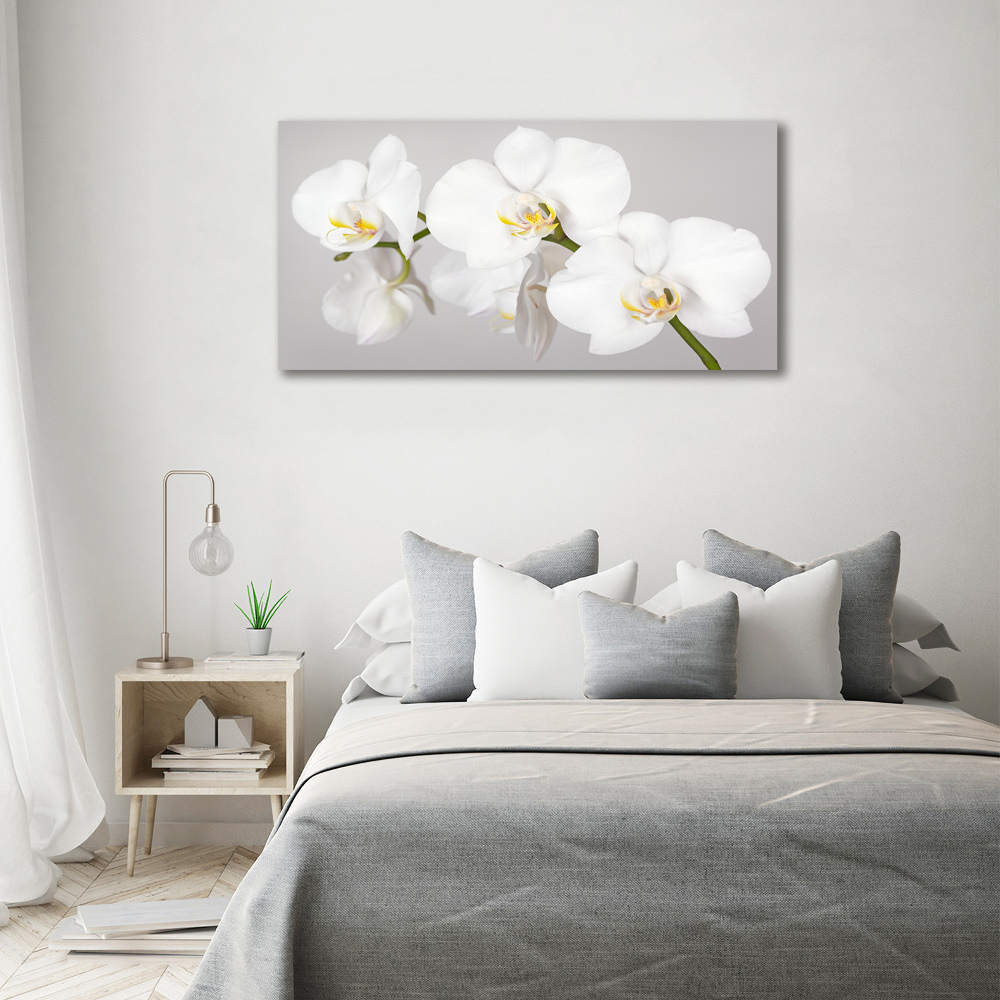 Wall art on glass Orchid