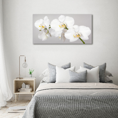 Wall art on glass Orchid