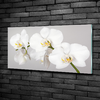 Wall art on glass Orchid