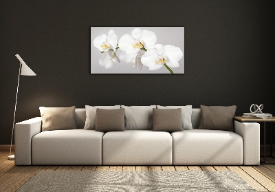 Wall art on glass Orchid