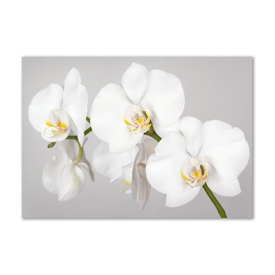 Wall art on glass Orchid