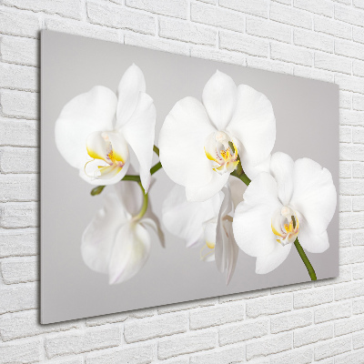 Wall art on glass Orchid