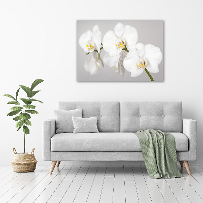 Wall art on glass Orchid