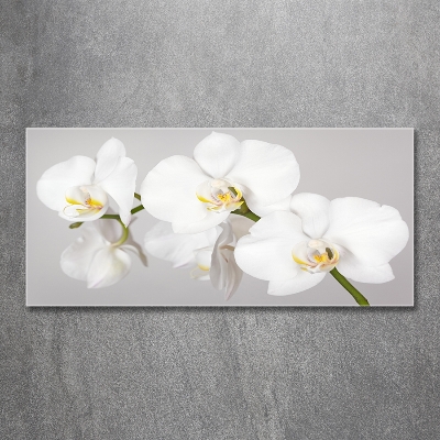 Wall art on glass Orchid