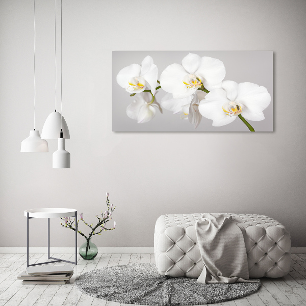 Wall art on glass Orchid