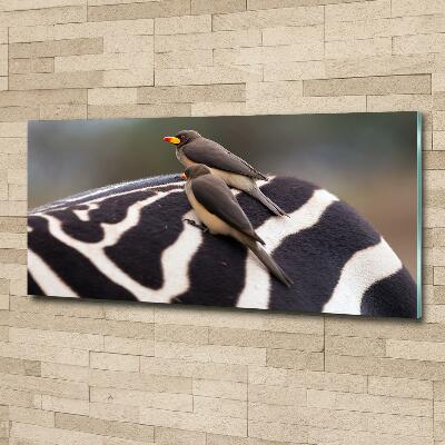 Glass wall art Birds and zebra