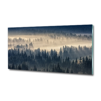 Glass art print Fog over the forest